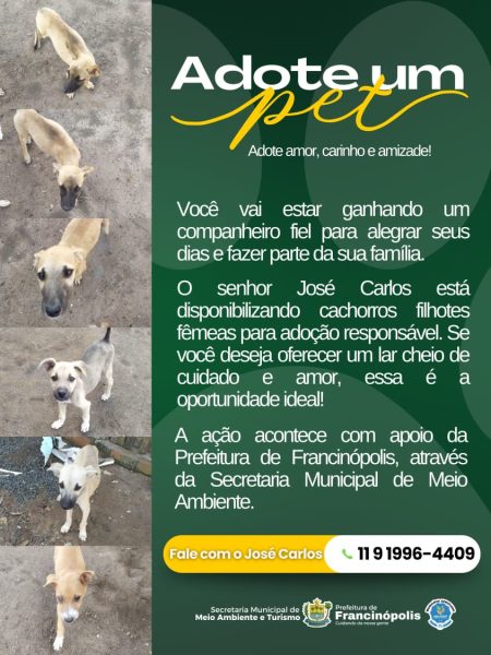 Prefeitura de Francinópolis apoia ação de adoção responsável de filhotes